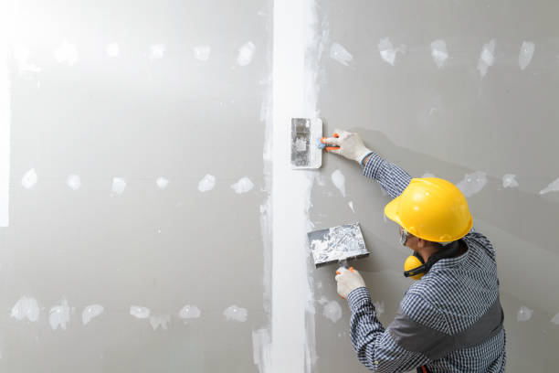 Best Environmental Consulting for Mold Prevention  in Sandstone, MN