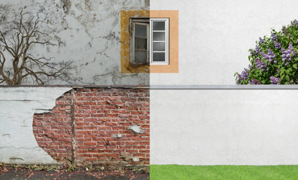 Sandstone, MN Mold Removal Company
