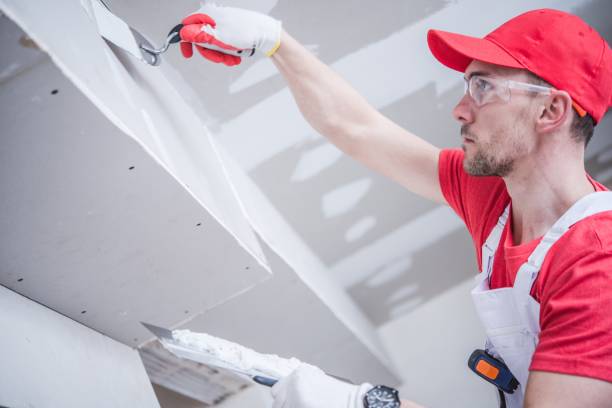Best Attic Mold Removal  in Sandstone, MN